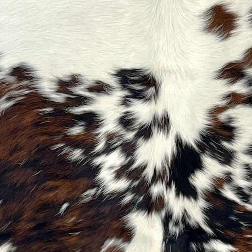 Closeup of this Colombian Tricolor Cowhide, showing white with large and small spots that have a mix of brown and black  (COTR1262)