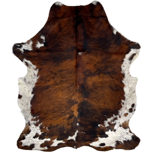 Colombian Tricolor Cowhide: has a mix of reddish brown and black down the middle, and white, with brown and black speckles and spots, on the belly, butt, and shanks, and it has longer hair on the belly - 6'5" x 4'9" (COTR1263)