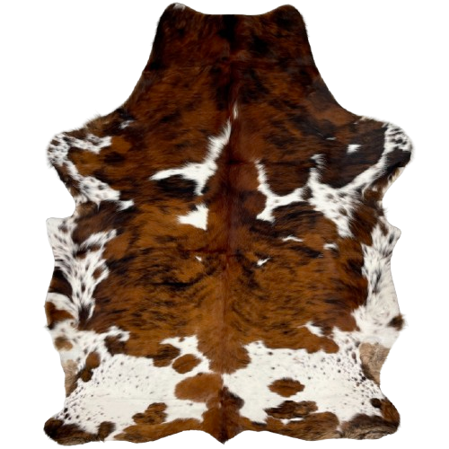 Colombian Tricolor Cowhide: white with brown speckles, and large and small spots that have a brown and black, brindle pattern- 6'6" x 5' (COTR1267)