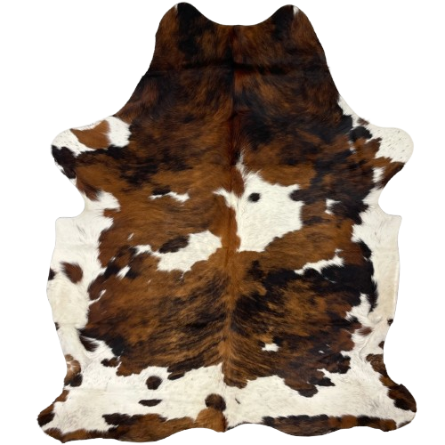 Colombian Tricolor Cowhide: white with black speckles, and large and small spots with a brown and black, brindle pattern - 6'10" x 5'2" (COTR1268)