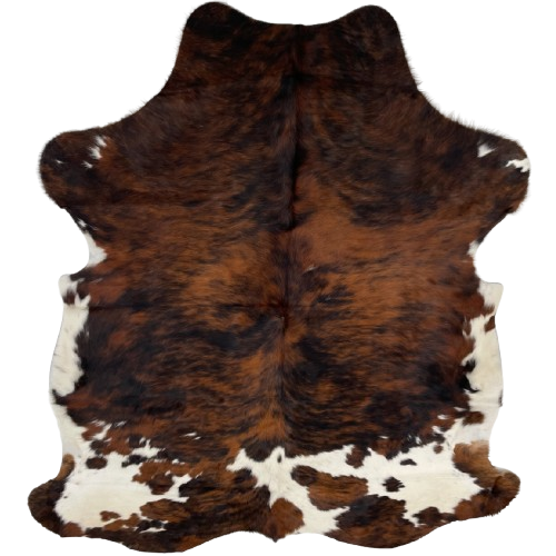 Colombian Tricolor Cowhide: has a reddish brown and black, brindle pattern on the back and shoulder, and white with spots that have a reddish brown and black, brindle pattern, on the belly, butt, and hind shanks - 6'7" x 5'1" (COTR1269)