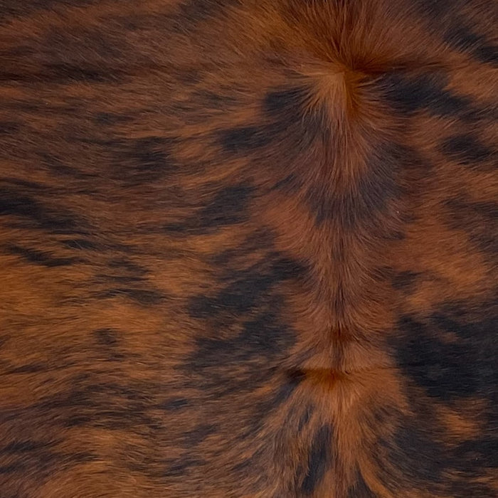 Closeup of this Colombian Tricolor Cowhide, showing a red brown and black, brindle pattern (COTR1271)