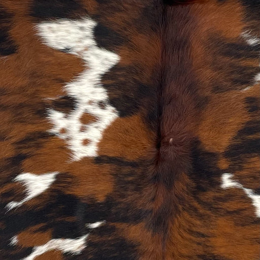 Closeup of this Colombian Speckled Tricolor Cowhide, showing a reddish brown and black, brindle pattern, with white spots that have reddish brown and black speckles and spots (COTR1274)