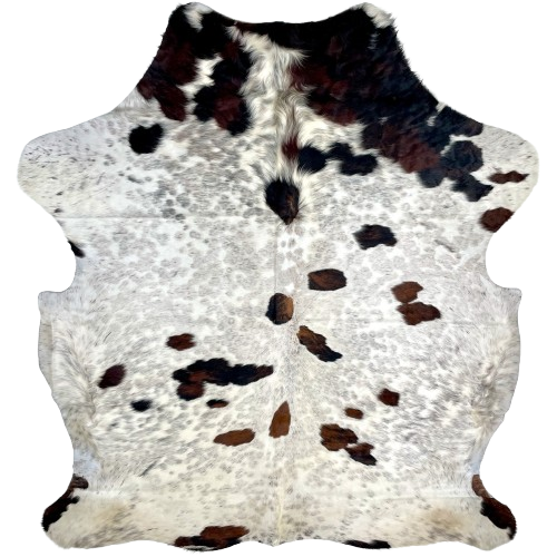 Colombian Speckled Tricolor Cowhide: white and off-white, with faint, cloudy brown and black speckles, and it has a few large and small spots with a mix of black and brown, and it has long hair down part of the spine - 7' x 5'9" (COTR1276)