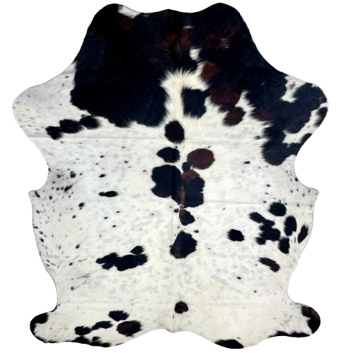 Colombian Speckled Tricolor Cowhide: white with black speckles and spots, faint, cloudy speckles, and some spots that have a mix of black and dark brown on the spine and shoulder, and longer hair in the middle of the shoulder - 7'1" x 5'4" (COTR1280)