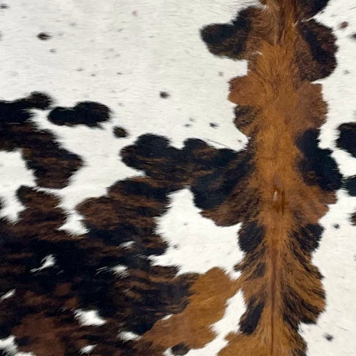 Closeup of this Colombian Tricolor Cowhide, showing white with black and brown speckles and spots, and larger spots that have a mix of black and brown, and brown down the spine (COTR1281)