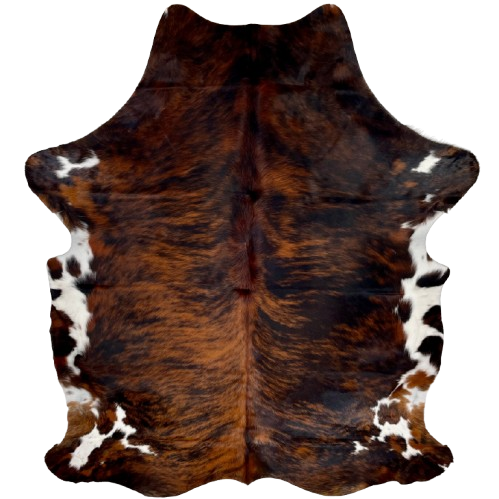 Large Colombian Tricolor Cowhide: has a reddish brown and black, brindle pattern and white spots on the belly, shanks, and butt - 7'7" x 5'8" (COTR1284)