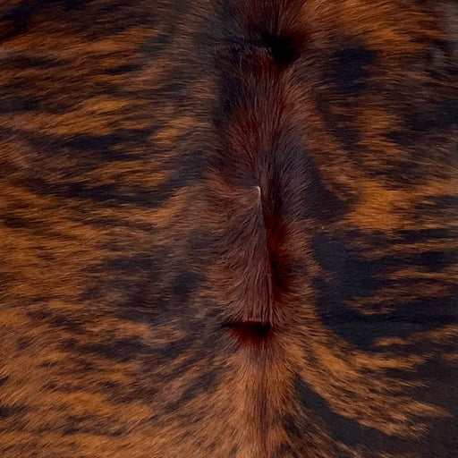 Closeup of this Large Colombian Tricolor Cowhide, showing a reddish brown and black, brindle pattern  (COTR1284)