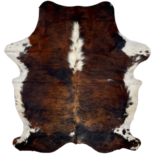 Colombian Tricolor Cowhide: long hair that has a mix of reddish brown and black, with white down part of the spine and on the belly and shanks - 7'1" x 5'5" (COTR1285)