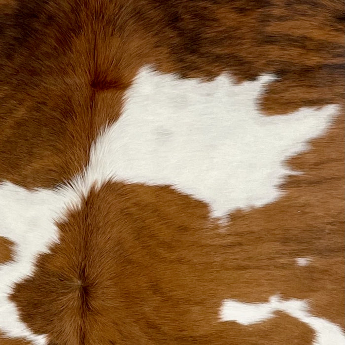 Closeup of this Colombian Tricolor Cowhide, showing caramel with black, brindle markings and white spots  (COTR1286)