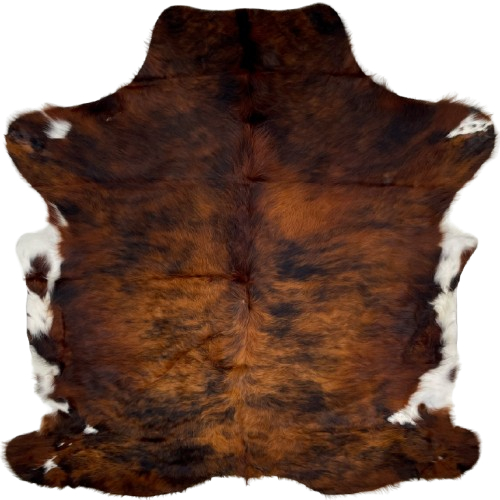 Colombian Tricolor Cowhide:  has long hair that has a mix of reddish brown and black, with white spots on the belly and shanks - 7'3" x 5'8" (COTR1287)