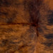 Closeup of this Colombian Tricolor Cowhide, showing long hair that has a mix of reddish brown and black (COTR1287)