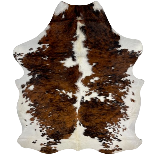 Colombian Tricolor Cowhide: white with large and small spots that have a mix of brown and black down both sides, and it has off-white down pat of the spine - 7' x 5'3" (COTR1288)