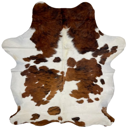 Colombian Tricolor Cowhide: white and off-white, with large and small spots that have brown and reddish brown with a black, brindle pattern, and it has long hair in the middle of the shoulder - 7'2" x 5'7" (COTR1292)