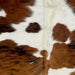 Closeup of this Colombian Tricolor Cowhide, showing white and off-white, with large and small spots that have brown and reddish brown with a black, brindle pattern, and long hair in the middle of the shoulder (COTR1292)