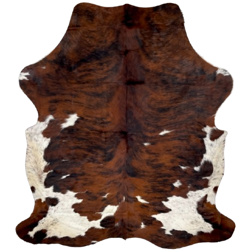 Colombian Tricolor Cowhide: has a red brown and black, brindle pattern, with a few small, white spots, down the middle, and along the edge of the butt and hind shanks, and it has off-white with brown and black speckles on the belly and part of the butt, and longer hair on the belly - 7'5" x 5'7" (COTR1293)