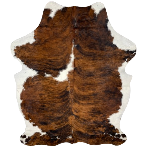 Colombian Tricolor Cowhide: has a brown and black, brindle pattern, with one white spot in the middle of the left side, and white on the belly and part of the shanks - 7'5" x 5'4" (COTR1294)