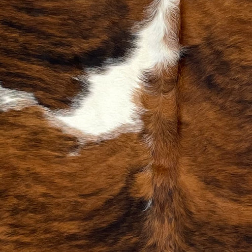 Closeup of this Colombian Tricolor Cowhide, showing a brown and black, brindle pattern, with one white spot in the middle of the left side (COTR1294)