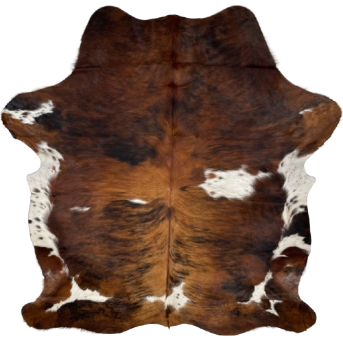 Colombian Tricolor Cowhide: reddish brown and brown, with black, brindle markings, and it has white spots, with brown and black speckles, on the back, butt, and belly - 7'3" x 5'9" (COTR1295)