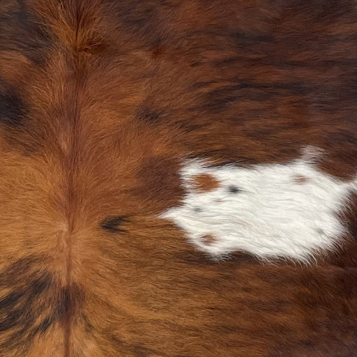 Closeup of this Colombian Tricolor Cowhide, showing reddish brown and brown, with black, brindle markings, and a white spot, with brown and black speckles, on the back  (COTR1295)