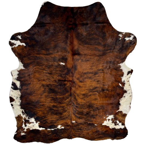 Colombian Tricolor Cowhide: has long hair that is reddish brown with black, brindle markings, and it has a few small, white spots in the middle, and white with black and reddish brown speckles and spots on the belly and fore shanks - 7' x 5'8" (COTR1296)