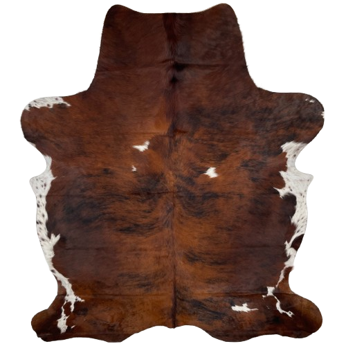 Large Colombian Tricolor Cowhide: has a reddish brown and black, brindle pattern, with three small, white spots on the back, and white with reddish brown and black speckles on the belly and part of the shanks - 7'6" x 5'6" (COTR1297)