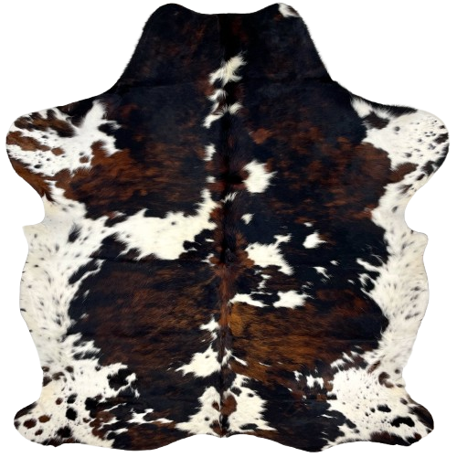 Colombian Tricolor Cowhide: white with black speckles and spots, and large and small spots that have a black and reddish brown, brindle pattern - 7'1" x 5'11" (COTR1298)