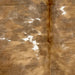 Closeup of this Colombian Tricolor Cowhide, showing a mix of brown and golden brown and some white spots that have brown and golden brown speckles, and longer hair down part of the spine  (COTR1303)