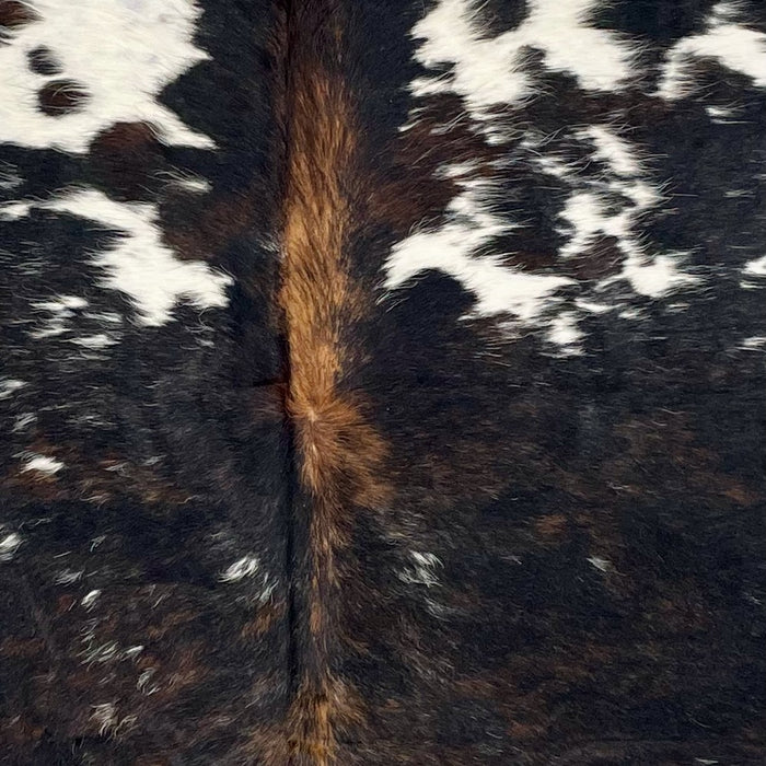 Closeup of this Colombian Tricolor Cowhide, showing white with small, black spots, and large and small spots that have a mix of black and brown, and brown down part of the spine  (COTR1304)