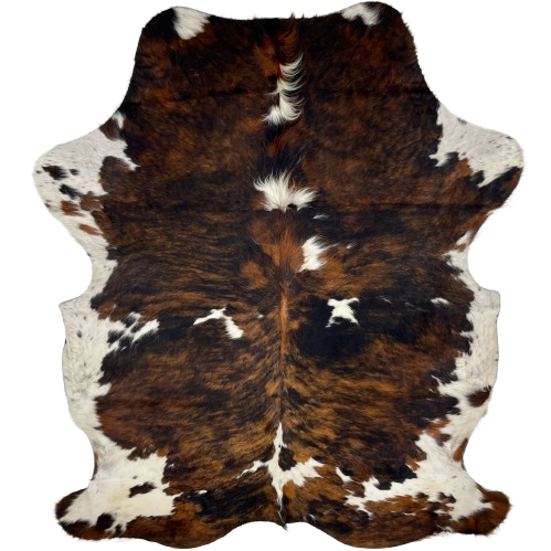 Colombian Tricolor Cowhide: has a brown and black, brindle pattern, with a few white spots on the back and shoulder, and white, with black and brown spots and speckles, on the belly and shanks, and long hair down part of the spine - 7'5" x 5'7" (COTR1306)