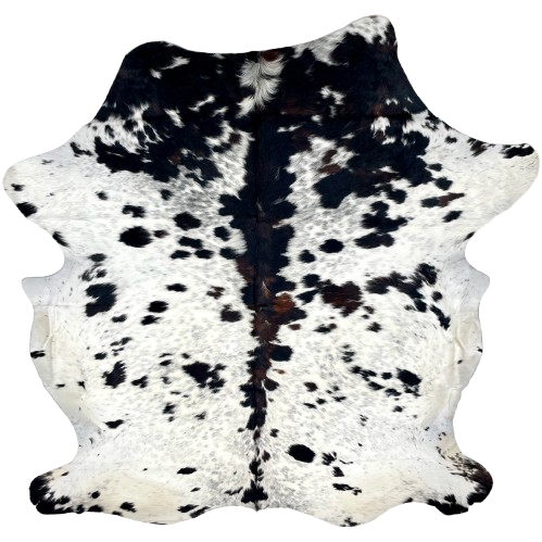 Large Colombian Speckled Tricolor Cowhide: white and off-white with faint black speckles, large and small, black spots, and some dark brown spots down the spine and on the shoulder - 7'6" x 6' (COTR1314)