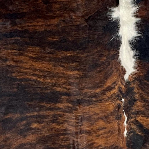 Closeup of this Colombian Tricolor Cowhide, showing a black and brown, brindle pattern with white down part of the spine (COTR1318)