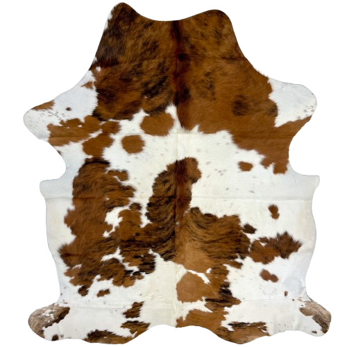 Colombian Tricolor Cowhide: white with brown spots, and large and small spots that have a brown and black, brindle pattern, and a few faint, brown speckles - 7'2" x 5'3" (COTR1319)