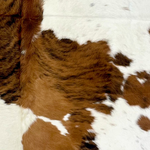 Closeup of this Colombian Tricolor Cowhide, showing white with brown spots, and large and small spots that have a brown and black, brindle pattern, and a few faint, brown speckles  (COTR1319)