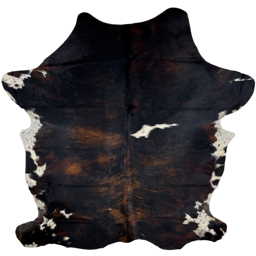 Large Colombian Dark Tricolor Cowhide: has a black and brown, brindle pattern, and a few small, white spots that have black speckles, and it has long hair down the spine, in the middle of the shoulder and on the belly - 7'7" x 5'10"(COTR1320)