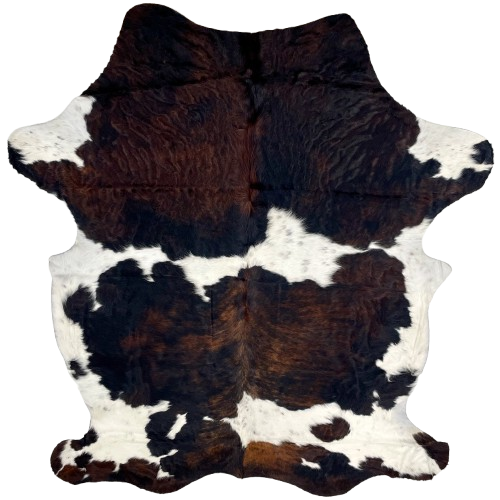 Colombian Tricolor Cowhide: white with faint, black speckles, and large and small spots that have a black and brown, brindle pattern, and it has longer hair, with a curly texture, on the shoulder and belly - 7'2" x 5'2" (COTR1321)