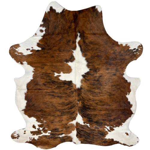 Large Colombian Tricolor Cowhide: has a brown and black, brindle pattern, with large and small, white spots and white on the belly and part of the shanks - 7'10" x 5'11" (COTR1323)