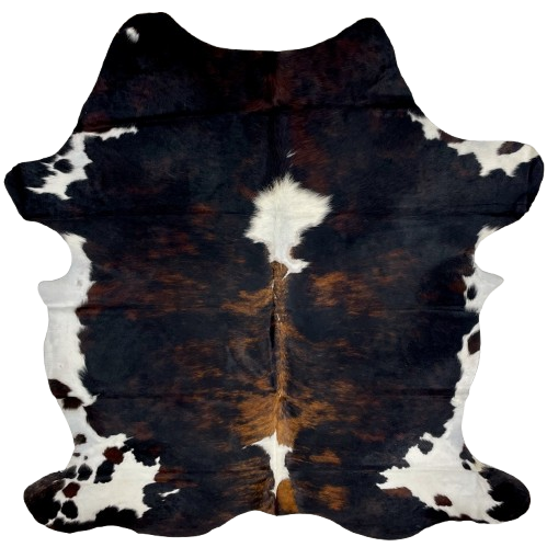 Colombian Tricolor Cowhide: has a mix of black and brown, with two white spots down the middle, and white on part of the belly and shanks - 7' x 5'6" (COTR1324)