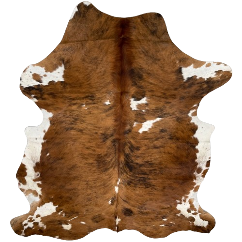 Colombian Tricolor Cowhide: has a brown and black, brindle pattern, with a few white spots, and it has reddish brown, longer hair, down part of the spine - 7'5" x 5'8" (COTR1326)