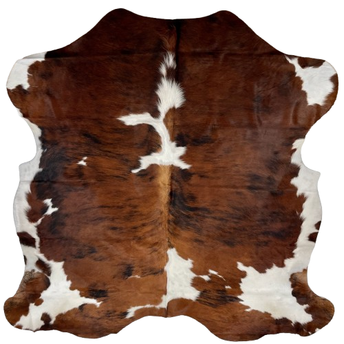 Colombian Tricolor Cowhide: has a reddish brown and black, brindle pattern, and small and large, white spots - 6'8" x 5'8" (COTR1328)