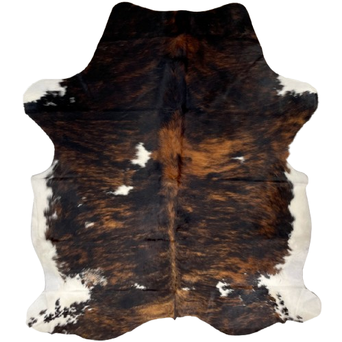 Colombian Tricolor Cowhide: has a black and brown, brindle pattern, with a few small, white spots, and white on the belly and part of the shanks - 6'9" x 5'3" (COTR1341)