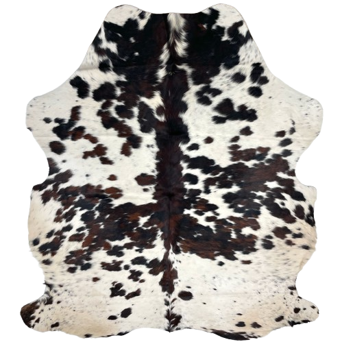 Large Colombian Speckled Tricolor Cowhide: white with black speckles, and spots that have a mix of black and dark brown, and it has off-white on the belly and butt - 7'6" x 6' (COTR1350)