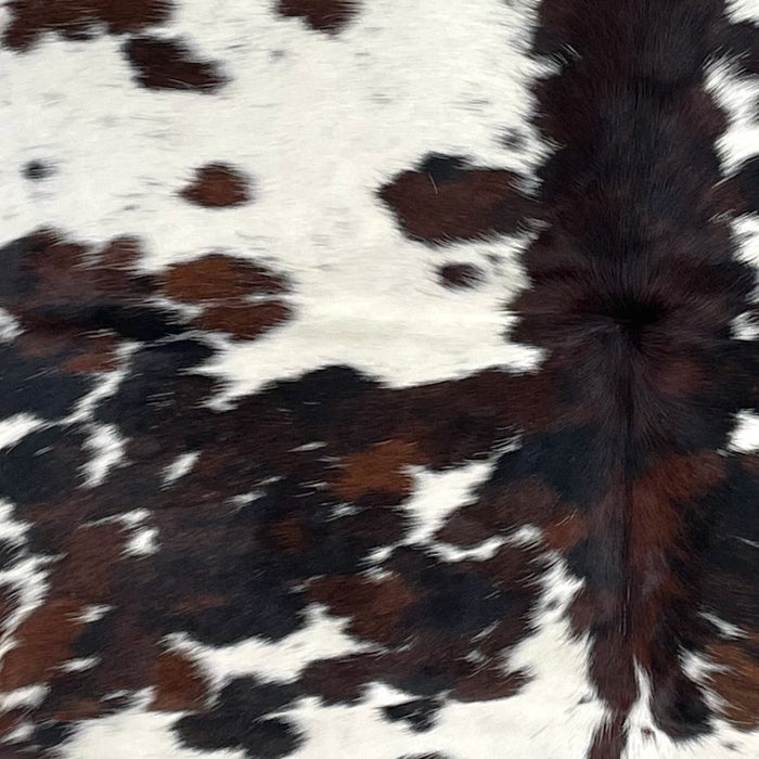 Closeup of this Large Colombian Speckled Tricolor Cowhide, showing white with black speckles, and spots that have a mix of black and dark brown (COTR1350)