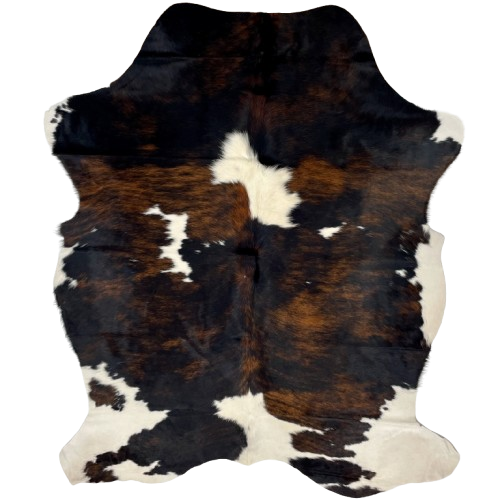 Colombian Tricolor Cowhide: has a black and brown, brindle pattern, with large and small, white spots - 6'7" x 4'11" (COTR1373)