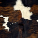 Closeup of this Colombian Tricolor Cowhide, showing a black and brown, brindle pattern, with large and small, white spots (COTR1373)