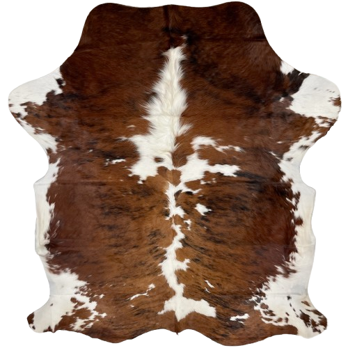 Colombian Tricolor Cowhide: has a brown and black, brindle pattern, with small and large, white spots, and it has long hair down the middle of the shoulder - 6'9" x 5'3" (COTR1374)