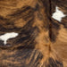 Closeup of this Colombian Tricolor Cowhide, showing a brown and black, brindle pattern, and a few white spots that have black speckles  (COTR1375)