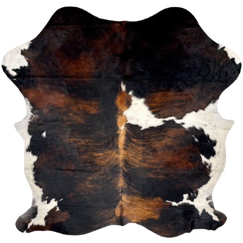 Colombian Tricolor Cowhide: has a black and brown, brindle pattern with white on the belly and part of the shank, and a white spot in the middle of the back - 6'5" x 5'4' (COTR1377)