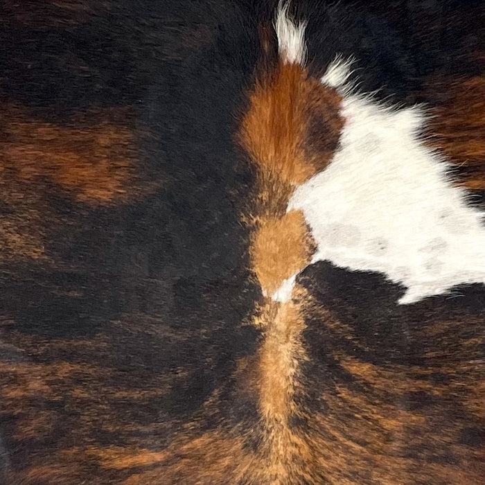 closeup of this Colombian Tricolor Cowhide, showing a black and brown, brindle pattern, and a white spot in the middle of the back  (COTR1377)