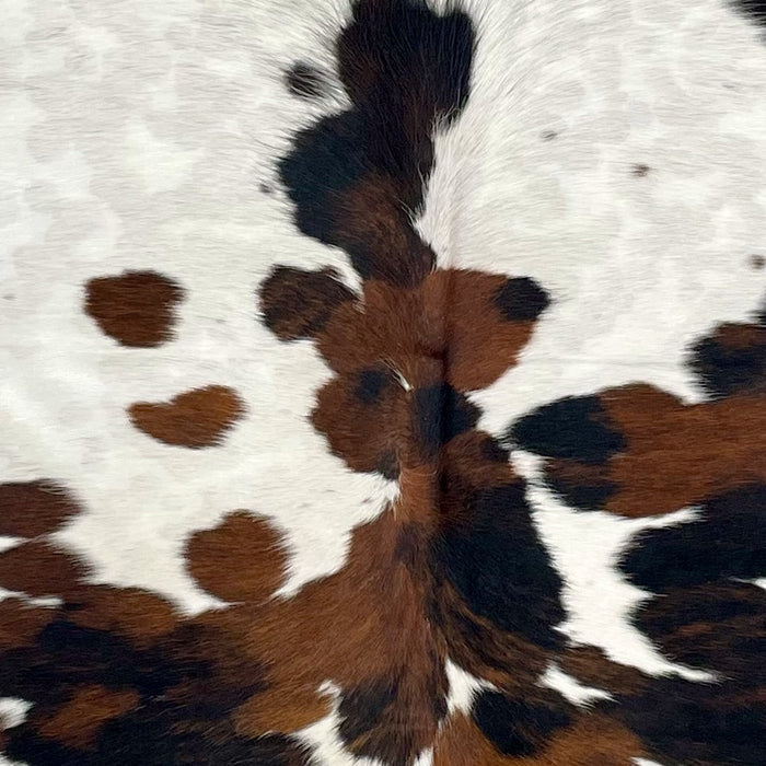 Closeup of this Colombian Speckled Tricolor Cowhide, showing white with and spots that have a mix of brown and black, and faint speckles  (COTR1378)